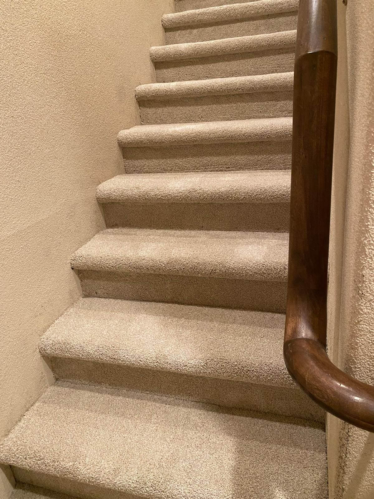 Carpeted stairs with a wooden handrail.