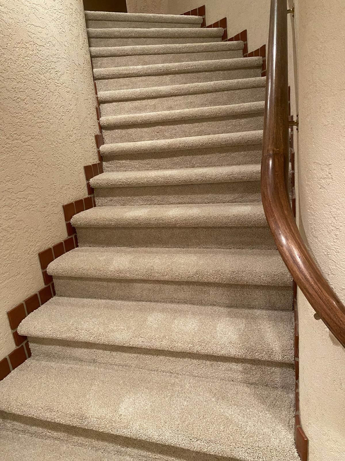 Carpeted staircase with wooden handrail and tiles.