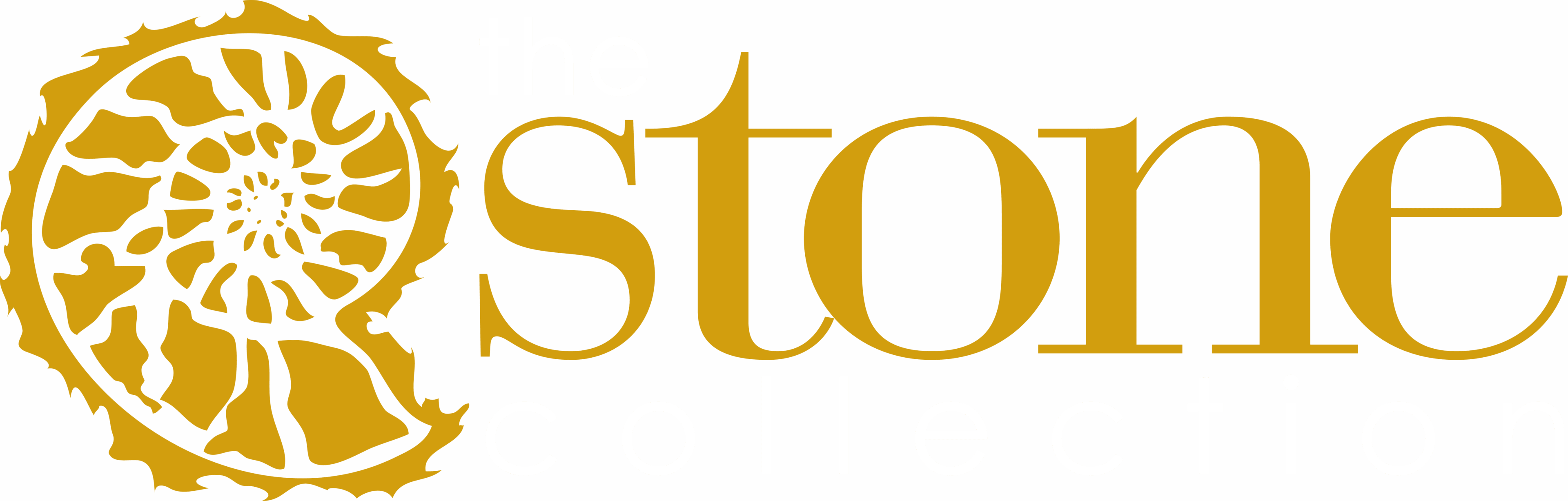The Stone Collection logo with ammonite design.